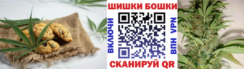хочу наркоту  Тбилисская  Cannafood марихуана 