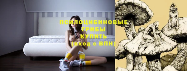 героин Белокуриха