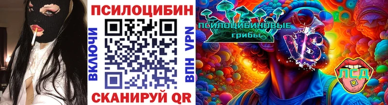 kraken зеркало  Тбилисская  Псилоцибиновые грибы прущие грибы 
