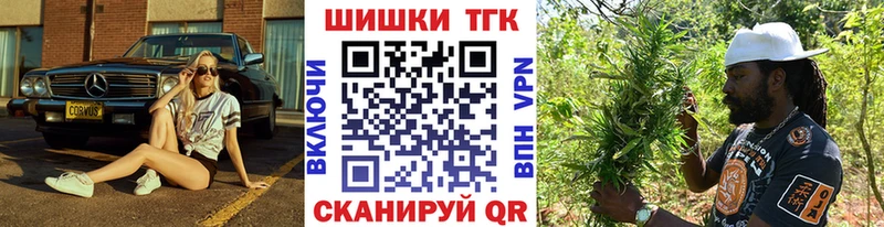 Каннабис сатива Тбилисская